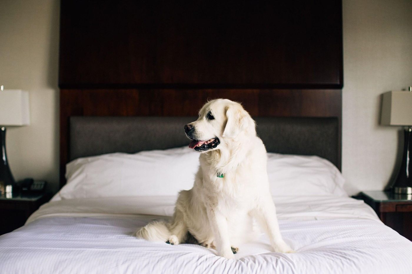 The Westin Seattle-United States-Seattle-General view-2