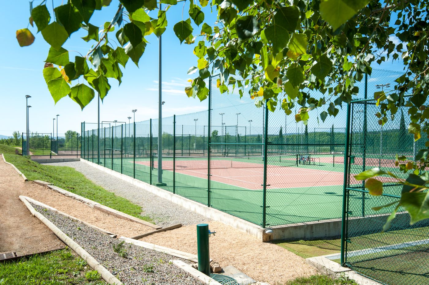 Mas-Sola-Sports-and-Entertainment-58