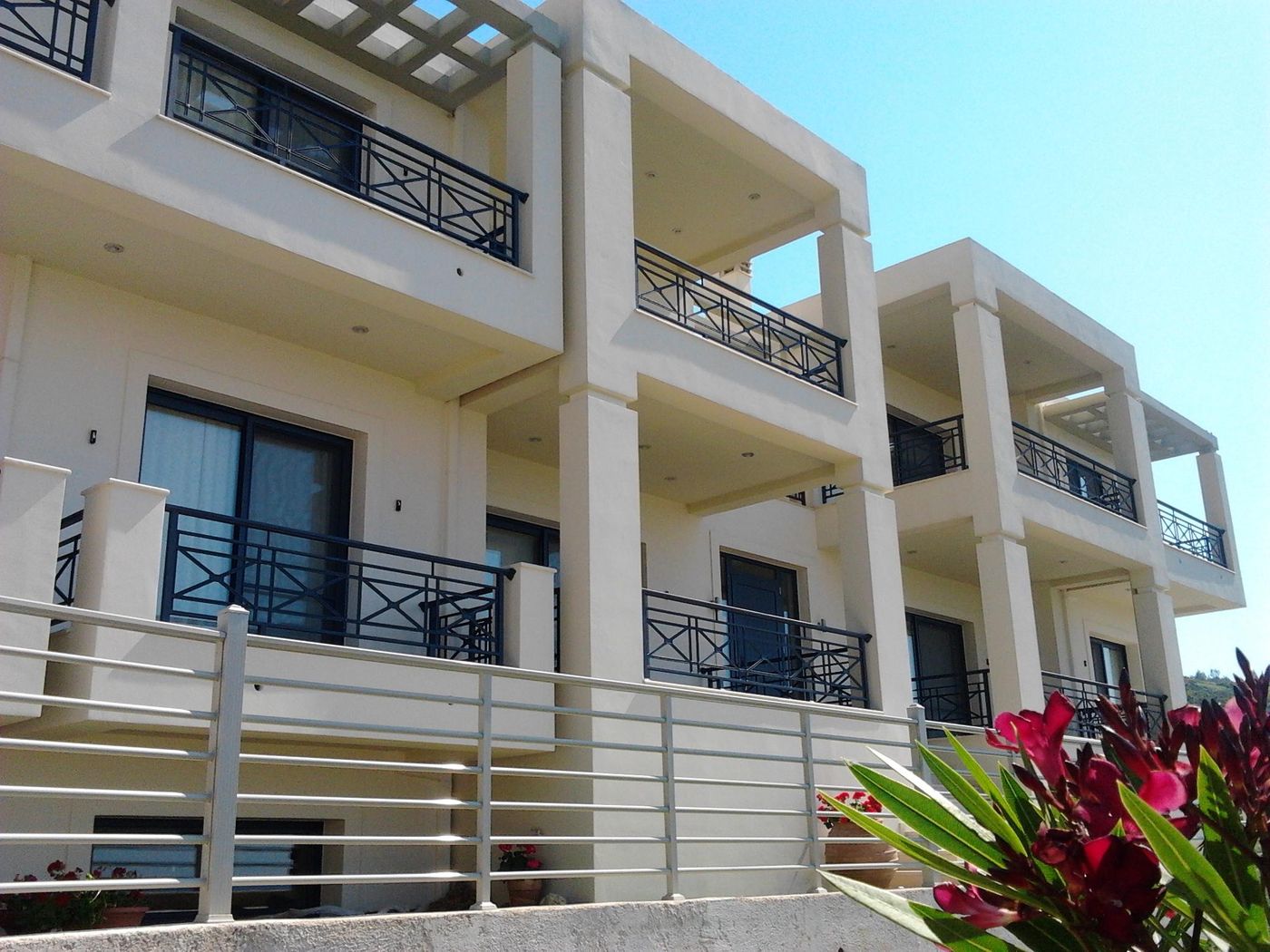 Sugar---Almond--General-view-1