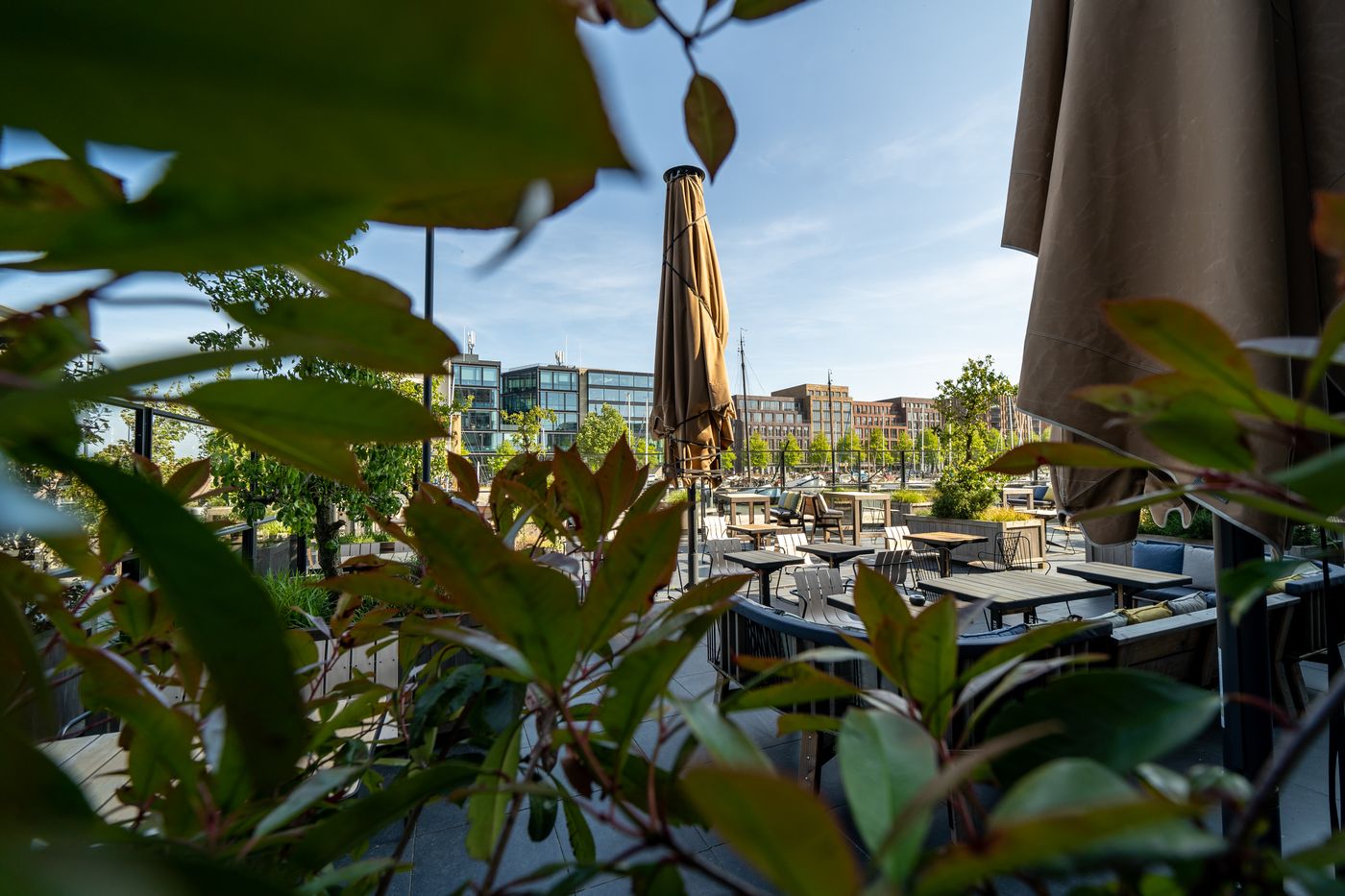 Four-Elements-Hotel-Amsterdam-Terrace-7