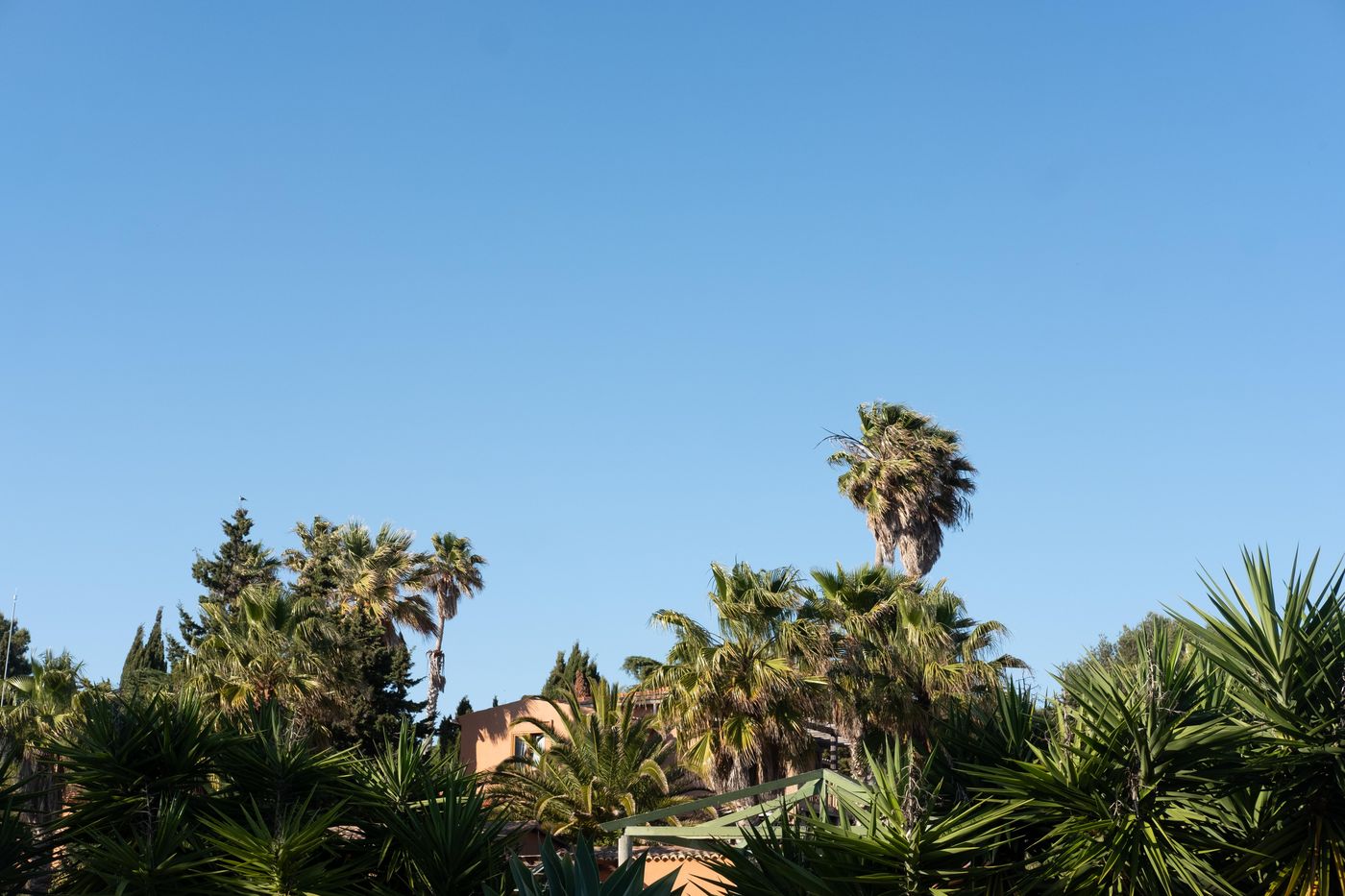 Quinta-do-Mar-da-Luz-General-view-21