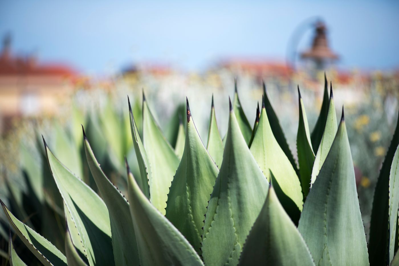 Aquae-Sinis-Albergo-Diffuso-Terrace-19