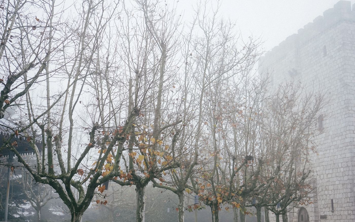 Landa-Spain-BURGOS-General view-7