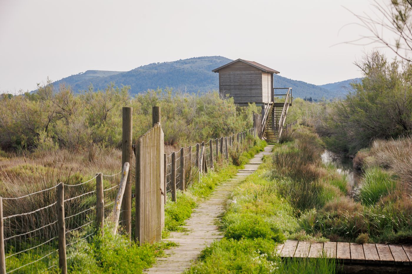 PortBlue Club Pollentia Resort & Spa