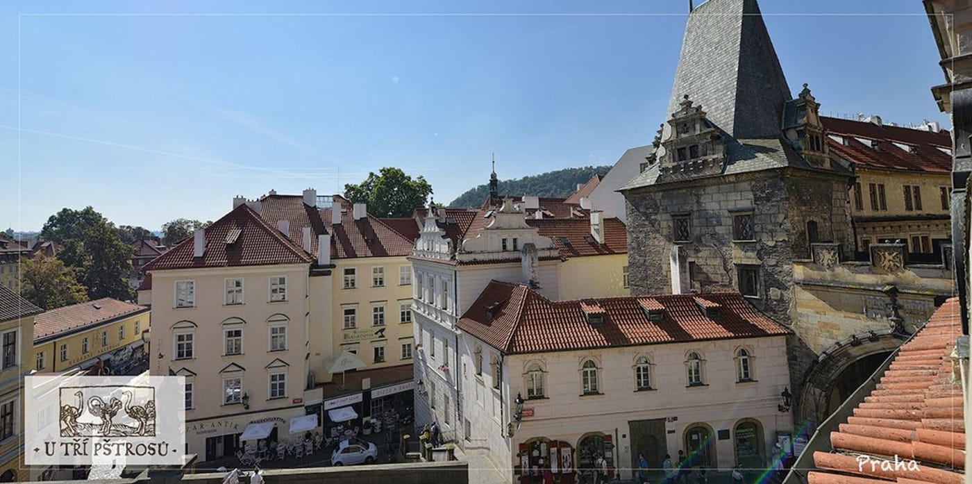 U-Tri-Pstrosu-Room-3