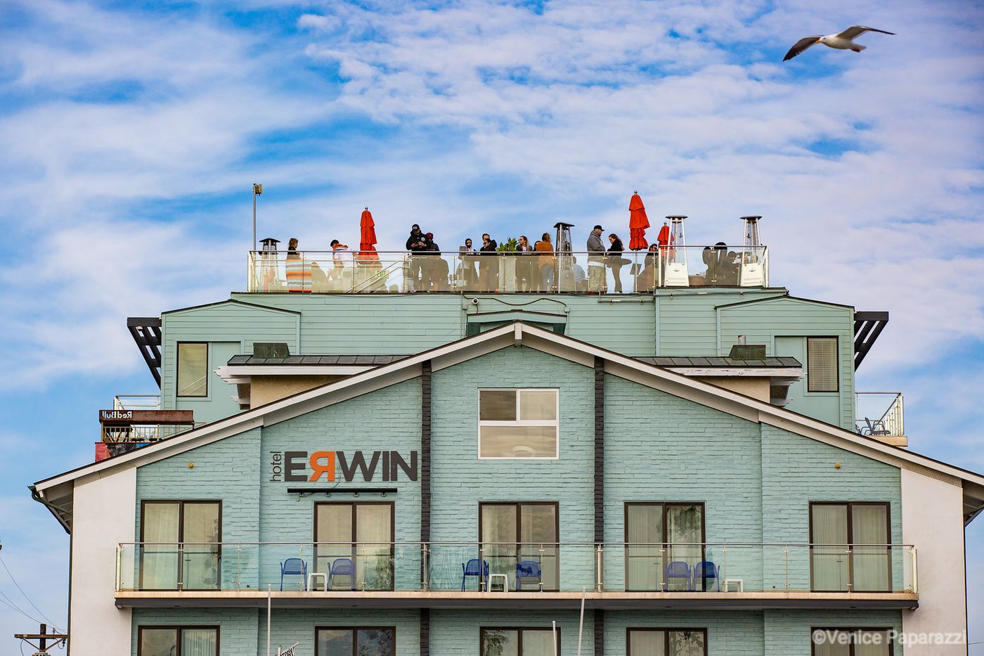 Hotel Erwin - United States - VENICE BEACH - General view - 1