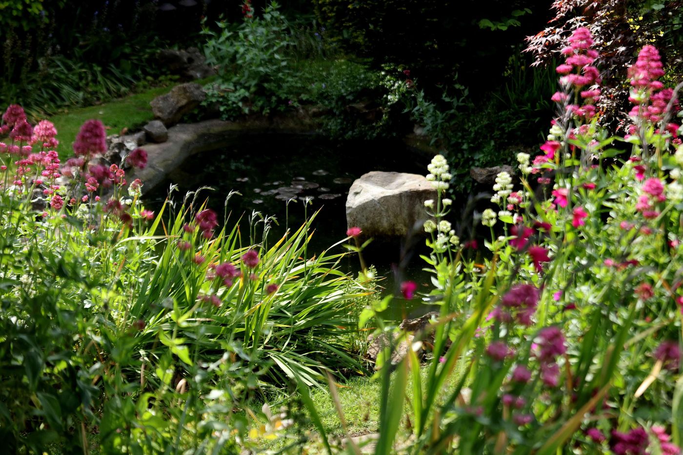 Best Western Henbury Lodge Hotel-United Kingdom-Bristol-General view-3