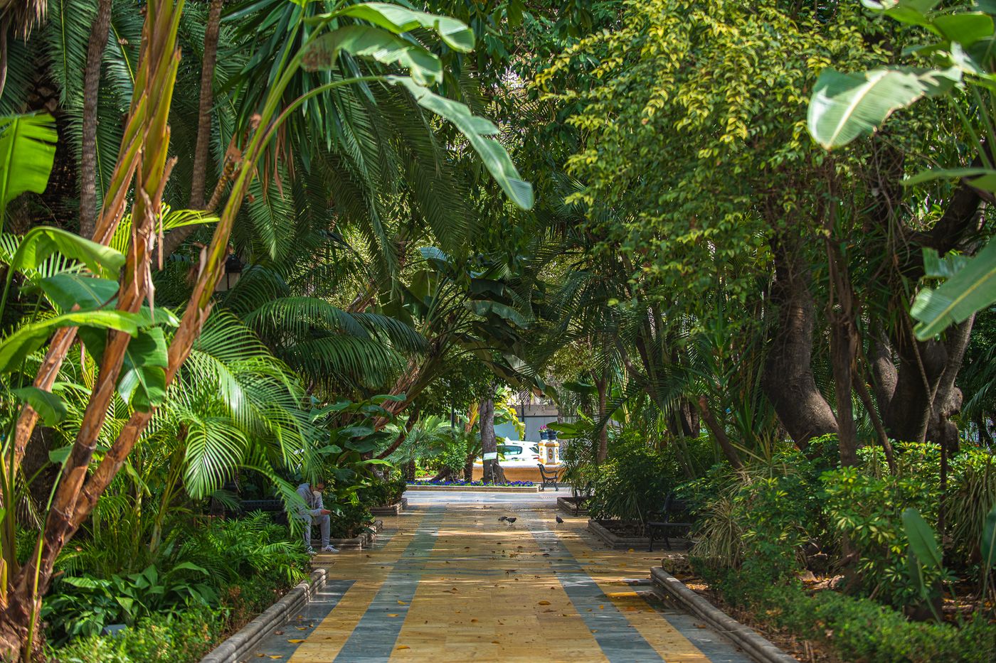 Fuerte-Marbella-Sports-and-Entertainment-12