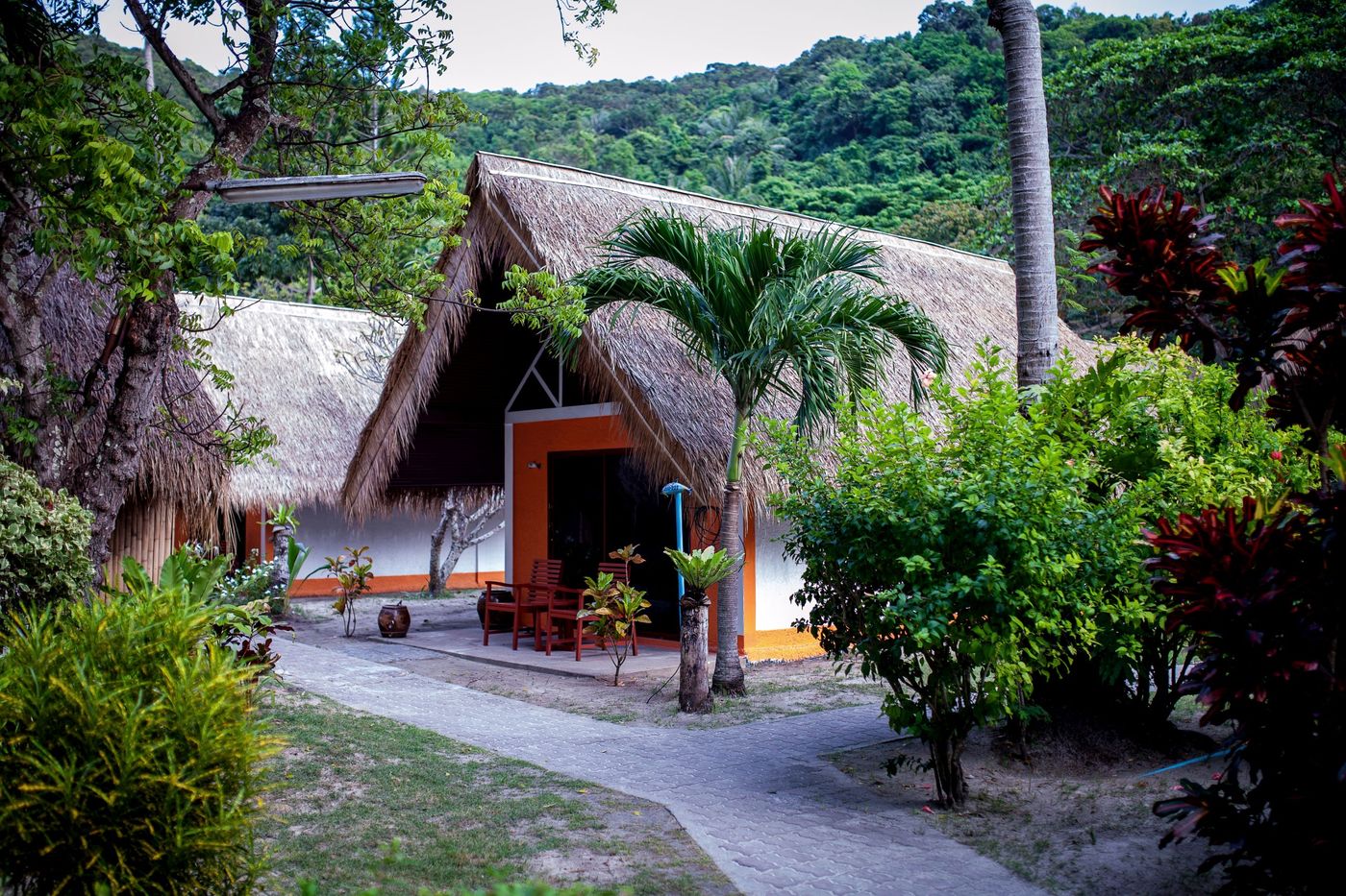 Coral-Island-Resort-General-view-13