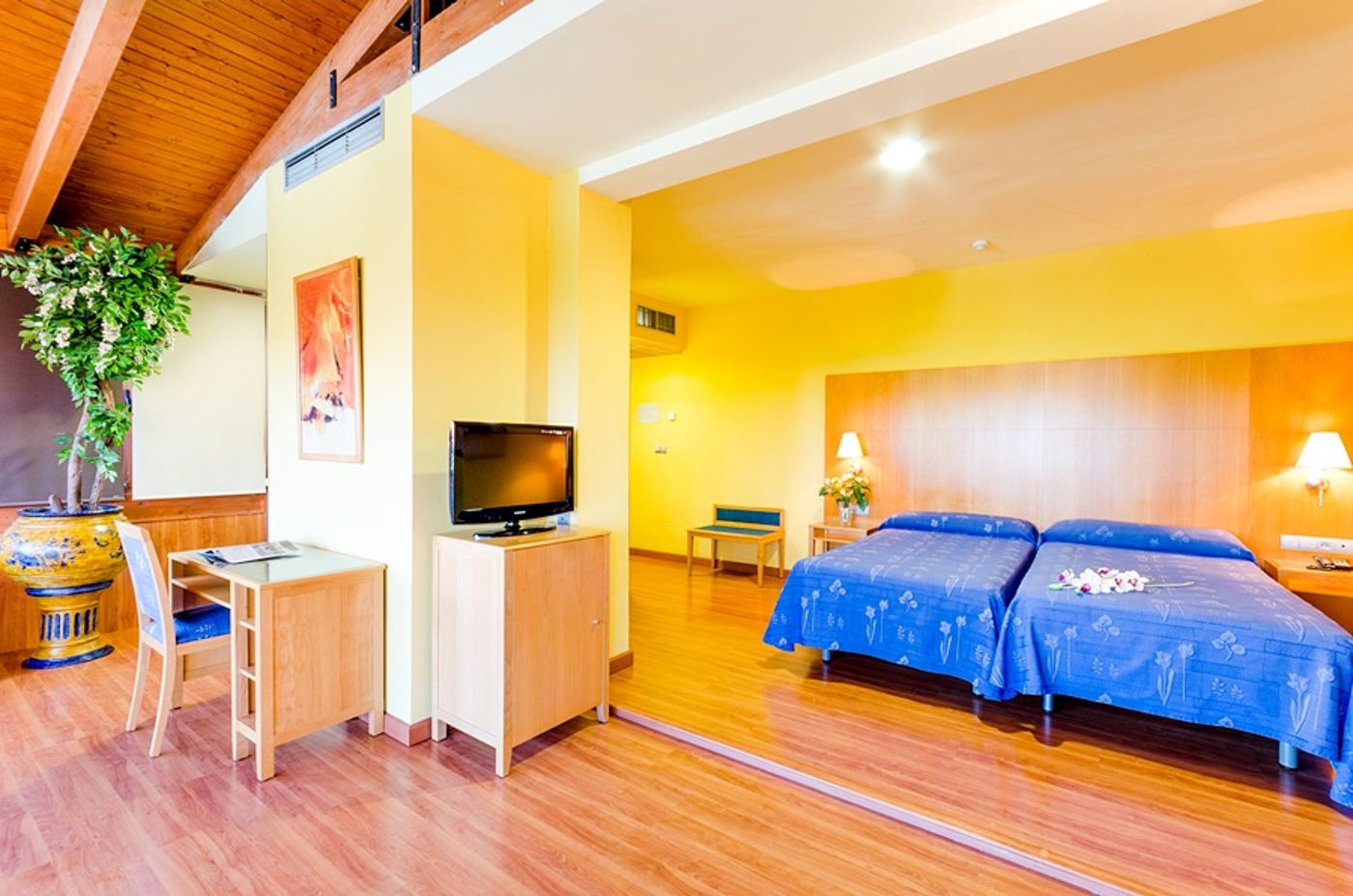 Camino de Granada-Spain-GRANADA-General view-10