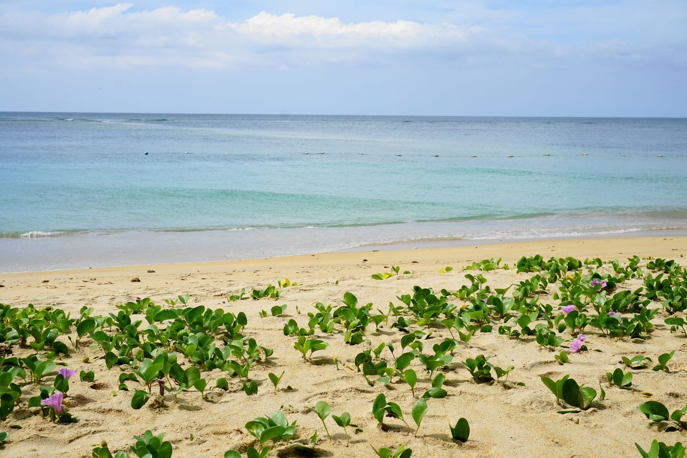 Dewa-Phuket-Beach-75