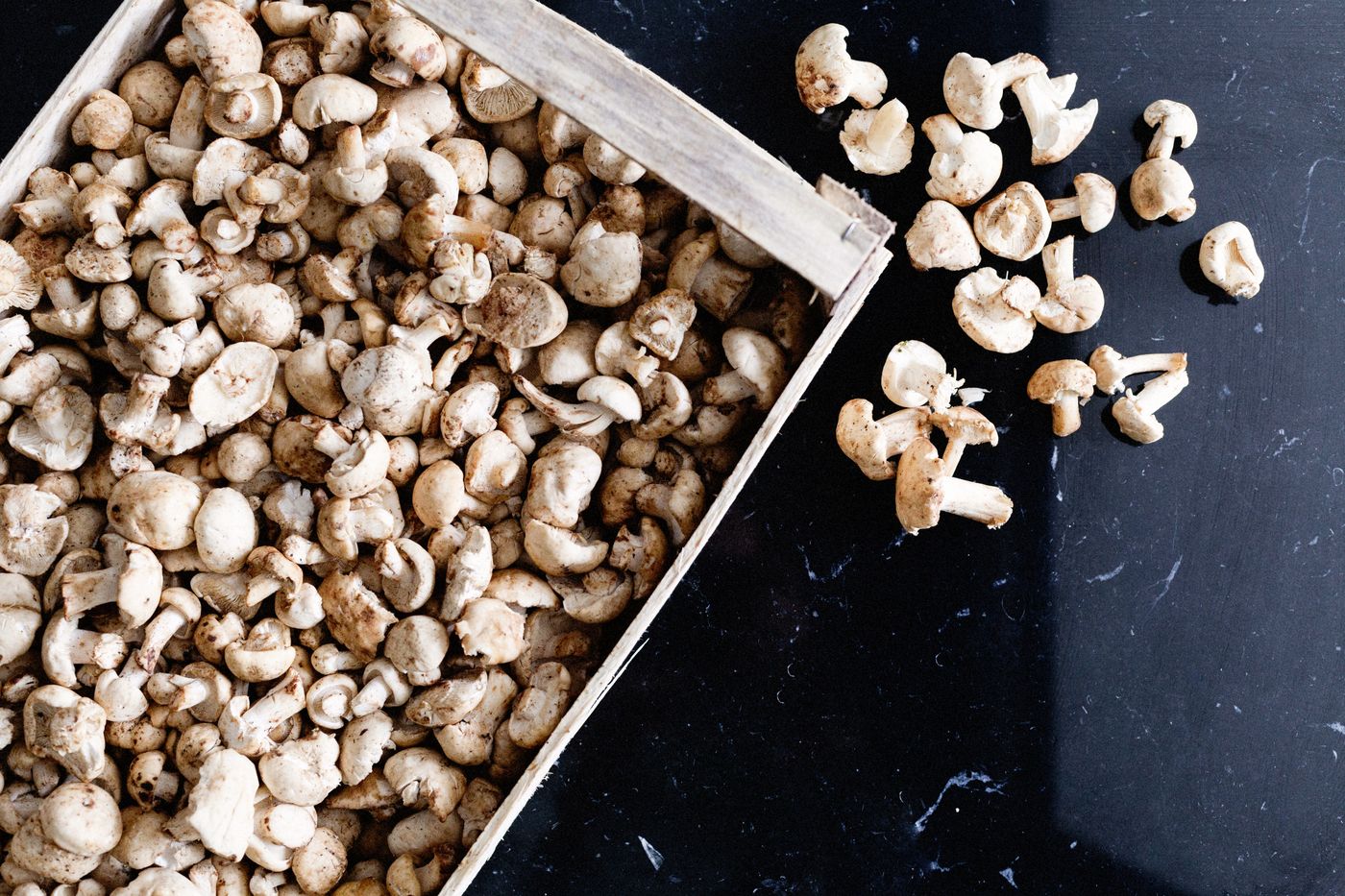 Almirante-Restaurant-52