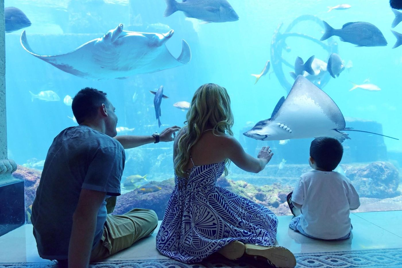 The-Reef-Atlantis-General-view-45