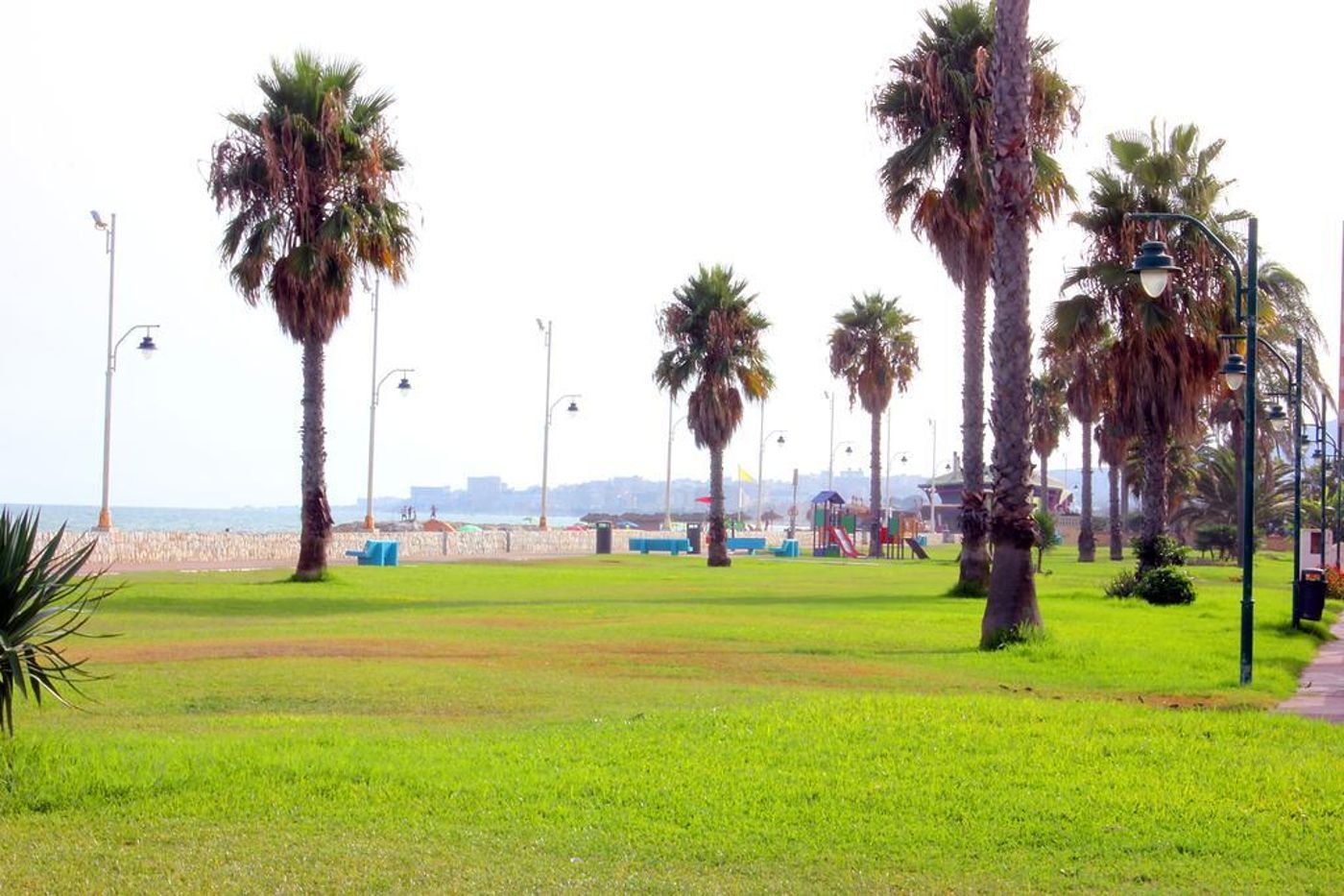 Malaga-Picasso-General-view-35