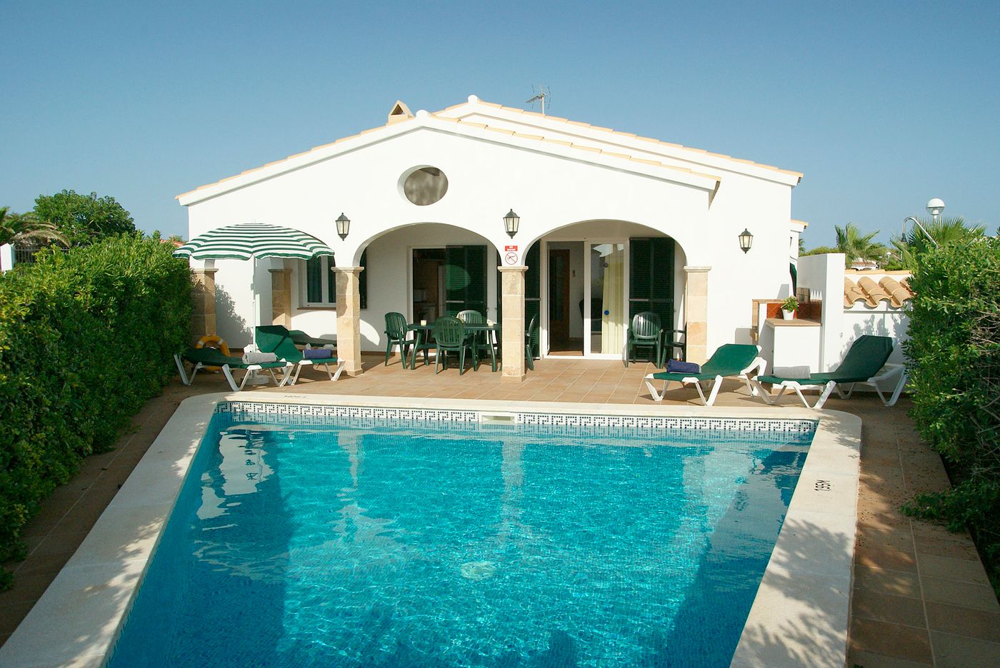 Begonias-General-view-3