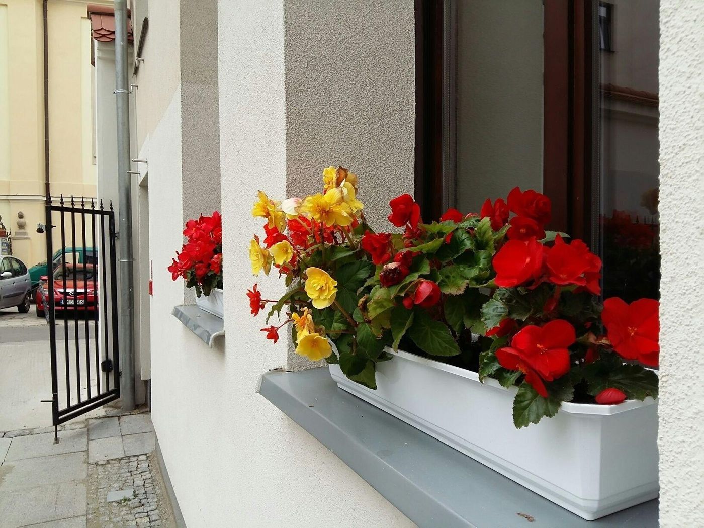 Kamienica Pod Aniolami-Poland-WROCLAW-General view-5