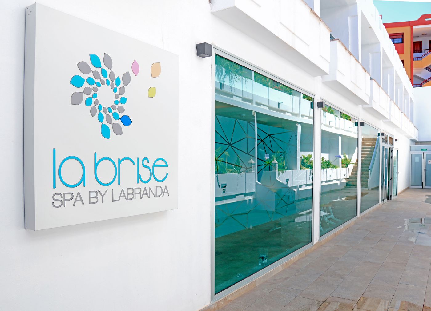 Lemon & Soul Cactus Garden