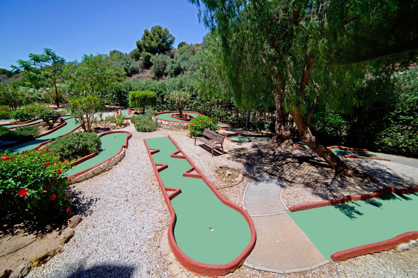 Holiday-World-RIWO-Sports-and-Entertainment-14