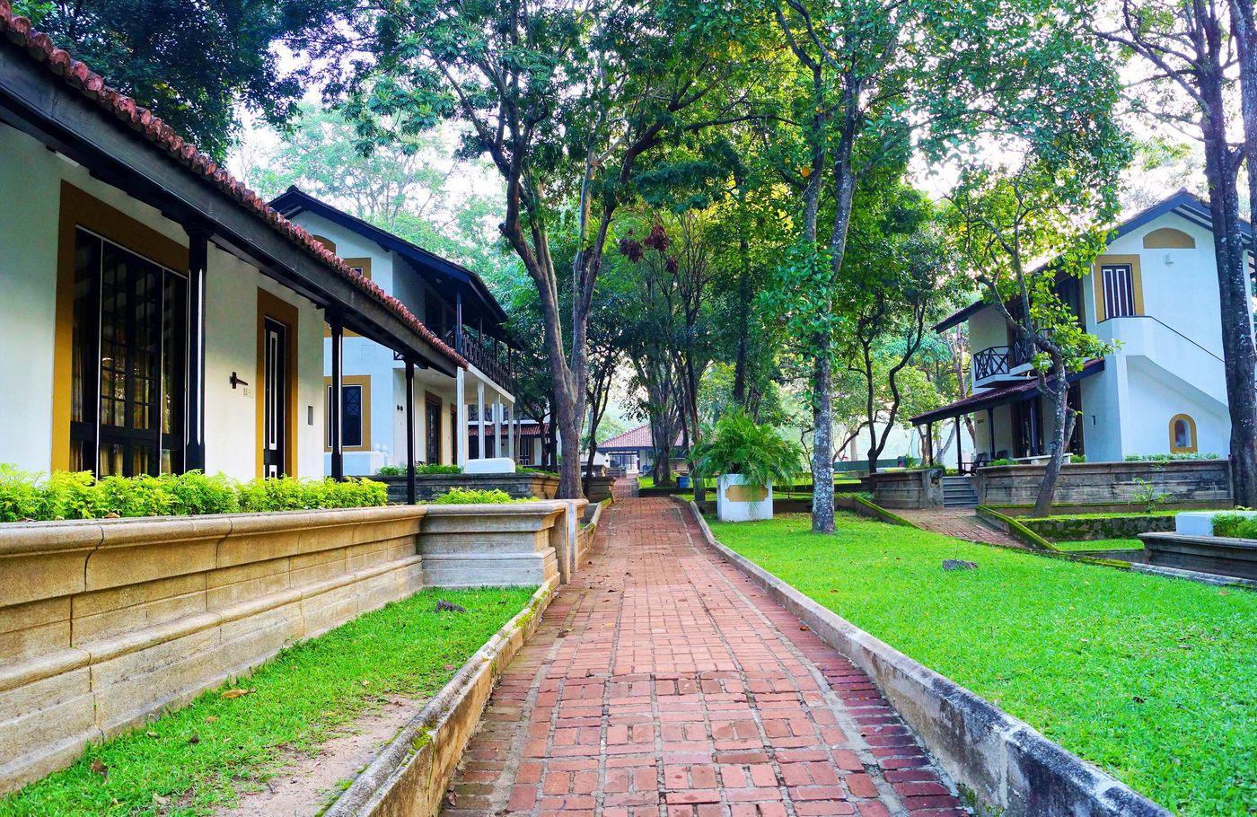 Cinnamon Lodge Habarana-Sri Lanka-HABARANA-Room-6