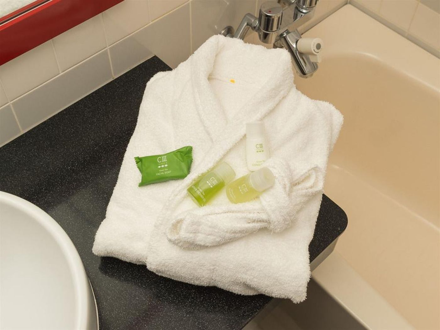 Sotetsu Fresa Inn Tokyo-Akasaka-Japan-Tokyo-General view-7