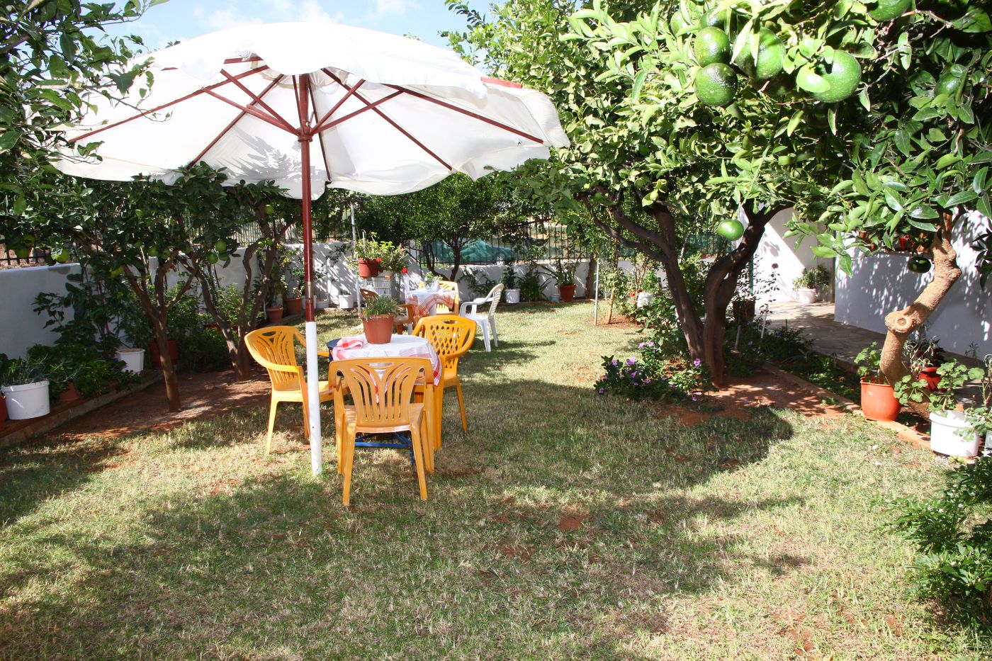 Seven Flowers Studios