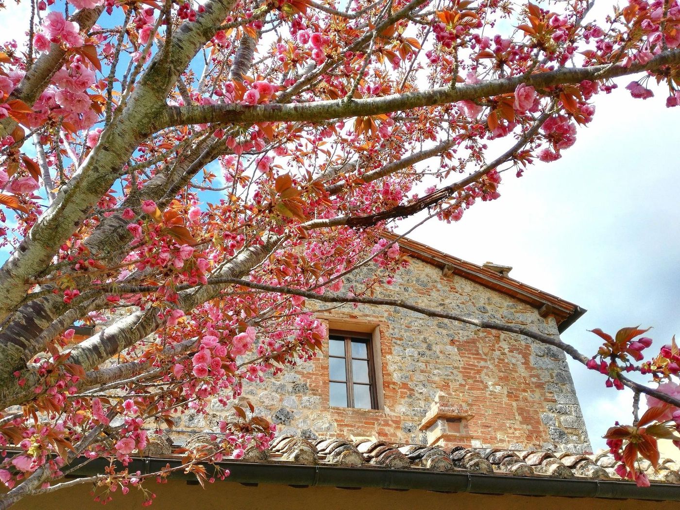 La-Caminata-General-view-1