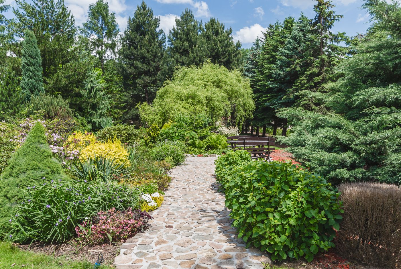 Domus-Mater-Terrace-63