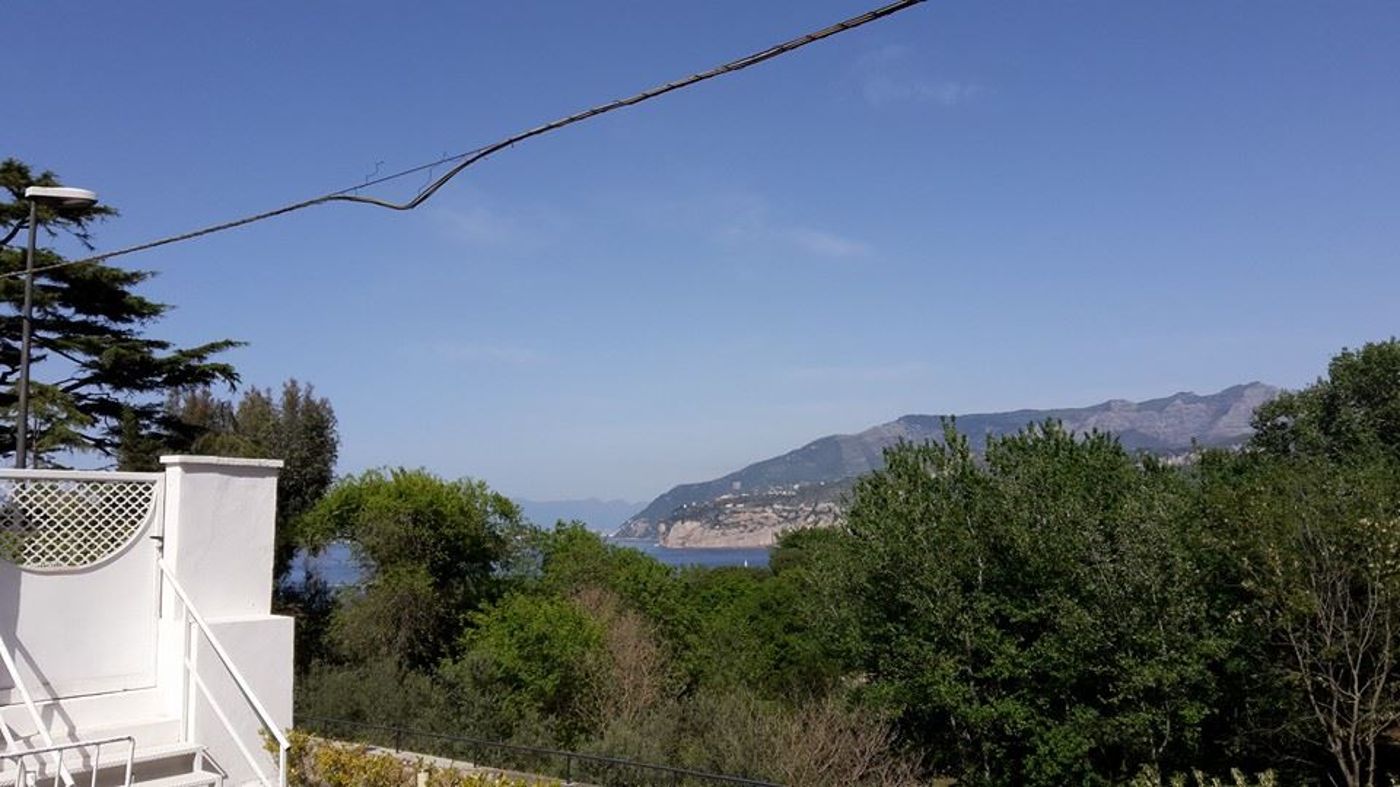 Spicy-General-view-29