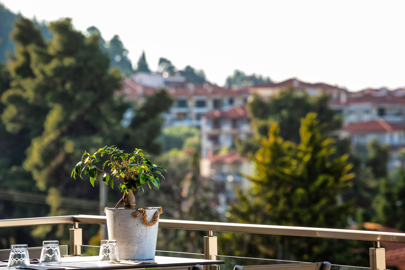 Kriopigi-Restaurant-92