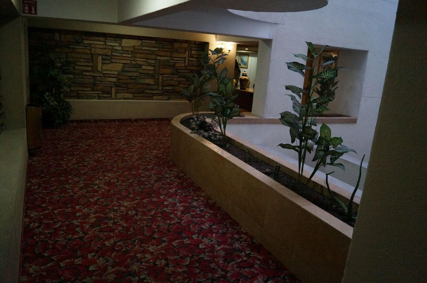 Hotel Villa de Madrid-Mexico-CIUDAD DE MÉXICO-Lobby-7