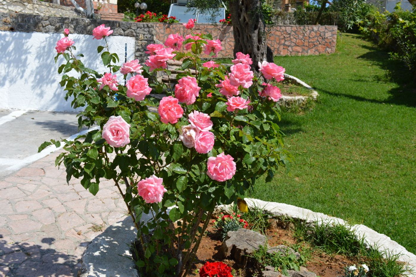 Fouxia-Apartments-and-Studios-General-view-32