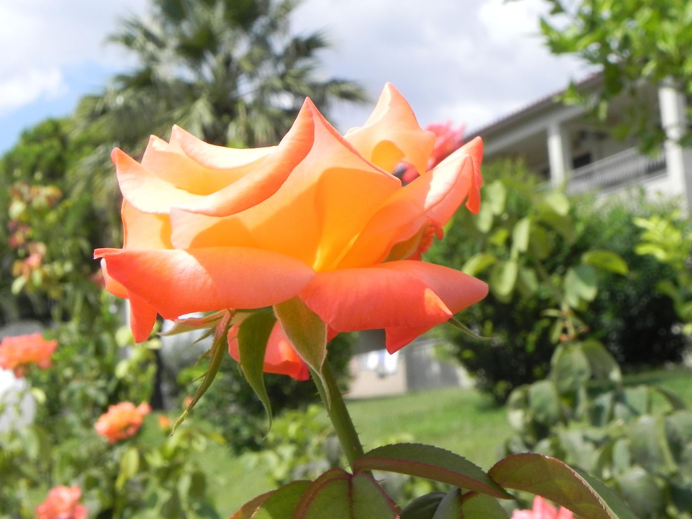 Kalives-Resort-General-view-16