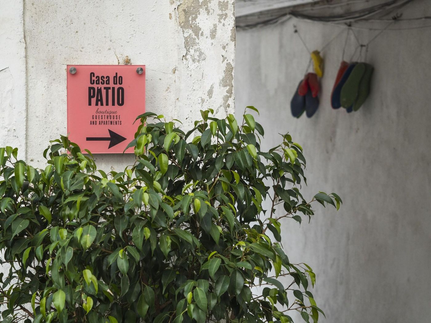 Casa Do Patio Bed & Breakfast-Portugal-Lisbon -Sports and Entertainment-1