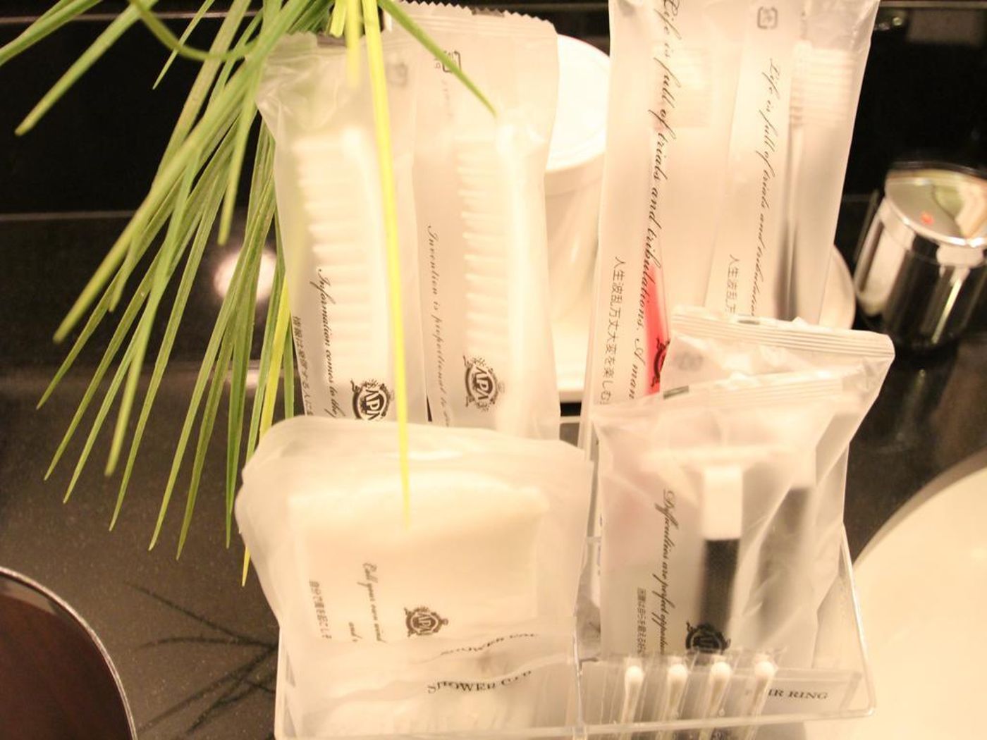 APA Villa Hotel Akasaka-Mitsuke-Japan-Tokyo-General view-8