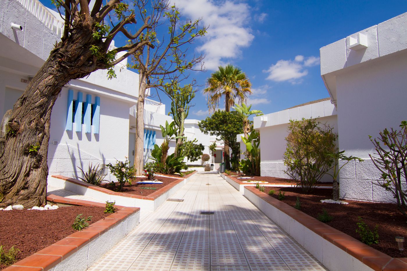 Checkin Bungalows Atlantida