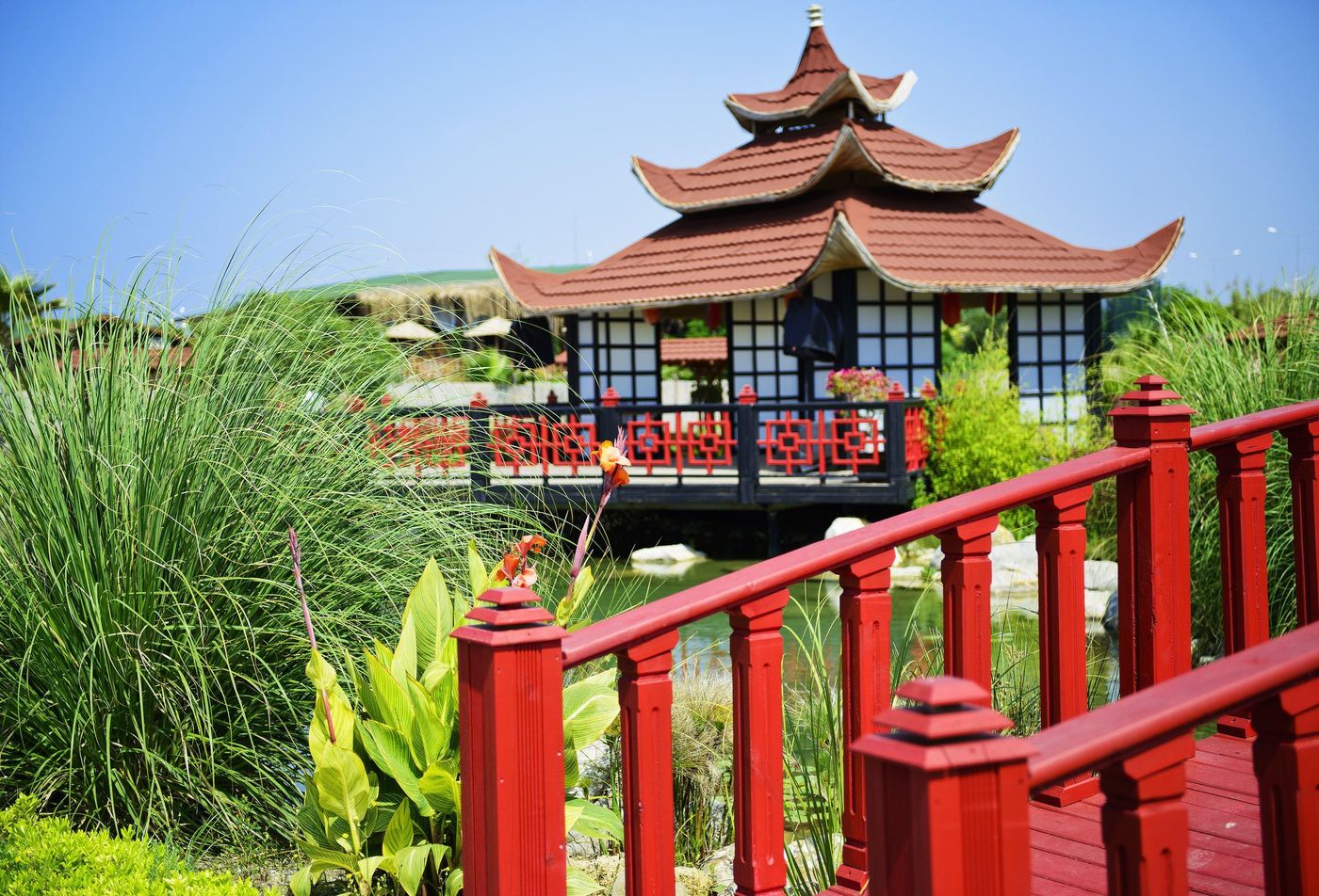 Sentido-Flora-Garden---Adults-Only-Sports-and-Entertainment-16