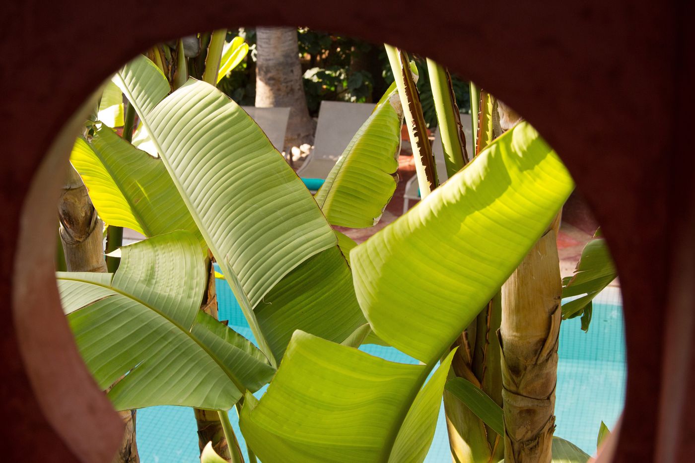 Les-Jardins-de-la-Medina-Pool-12