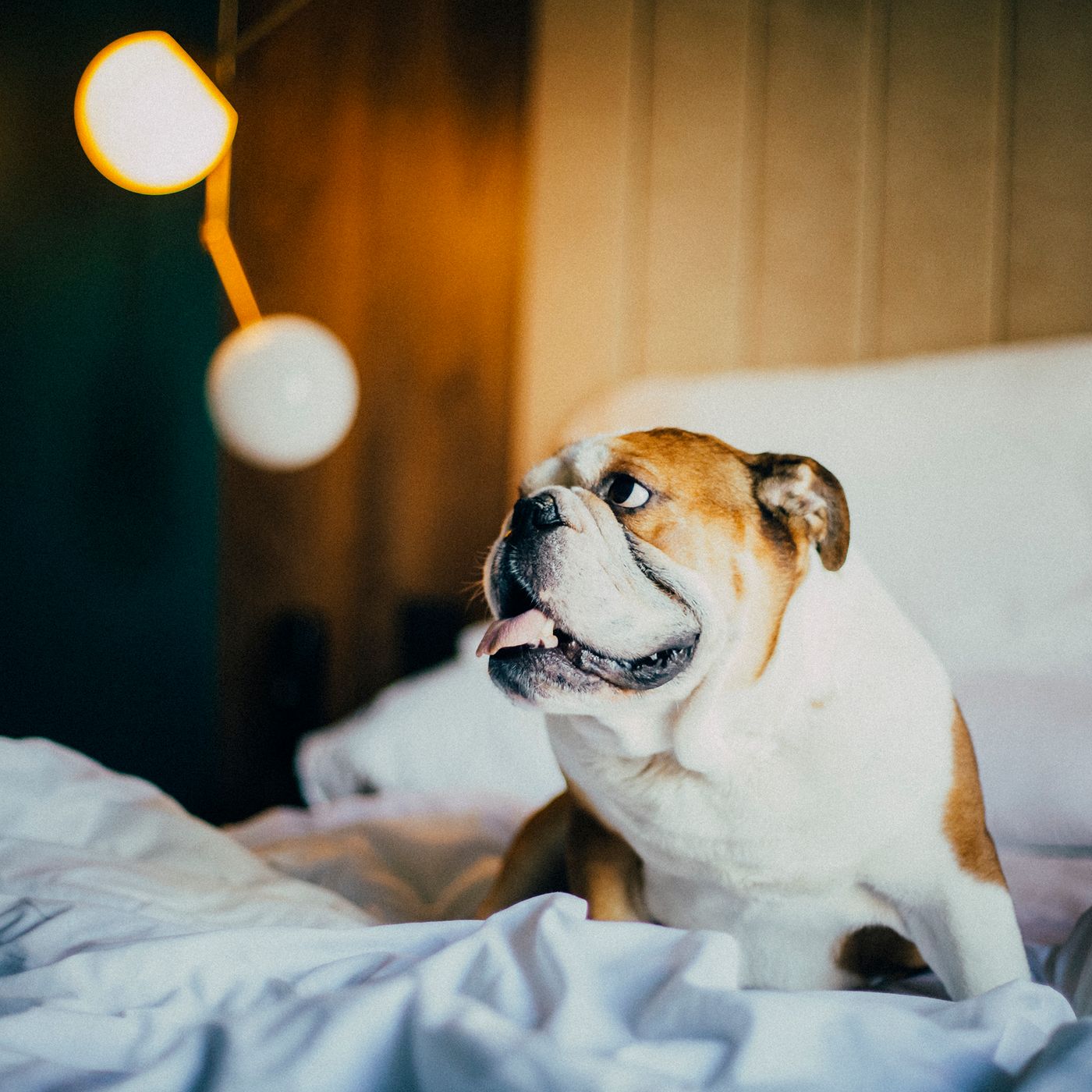 ICON-Embassy-Lobby-33