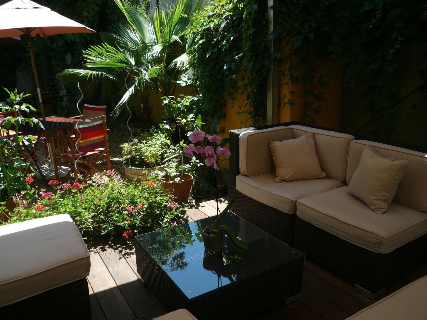 Hôtel des Arceaux - France - MONTPELLIER - Sports and Entertainment - 2