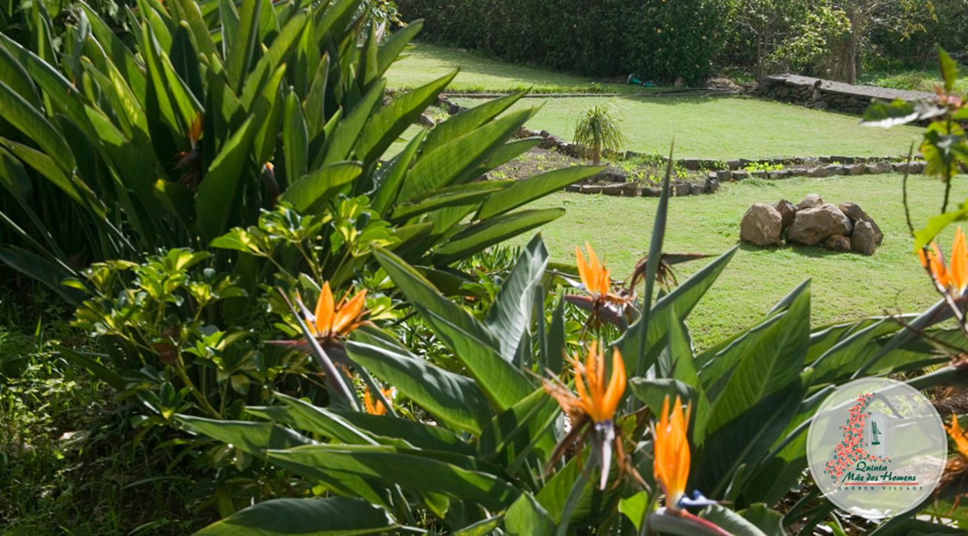 Quinta Mae Dos Homens Garden Village-Portugal-FUNCHAL-General view-1