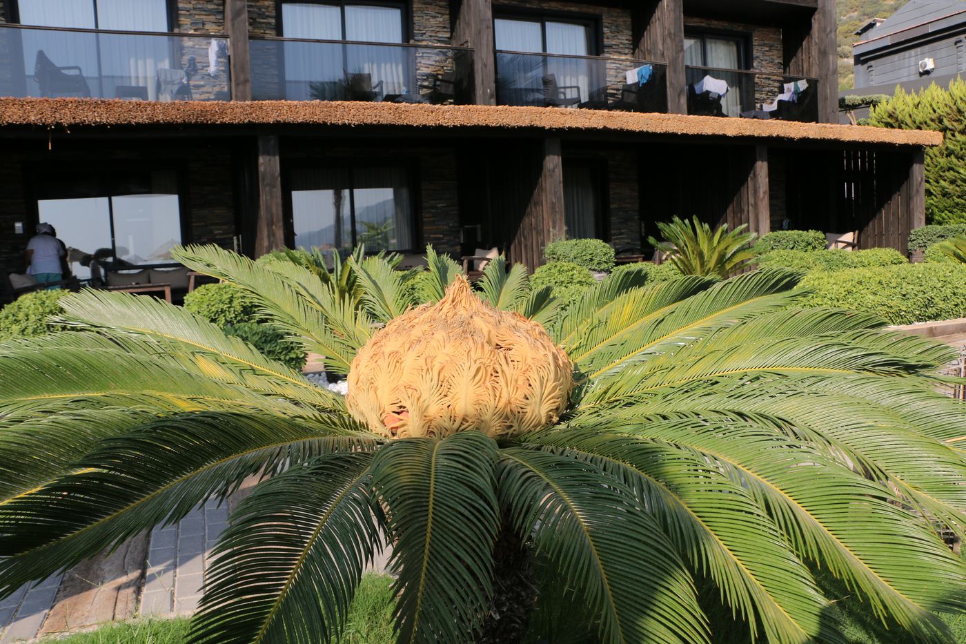 Manaspark-Deluxe-Hotel-General-view-20