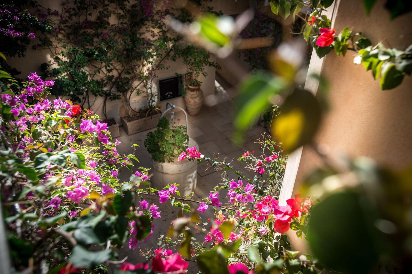 La-Moresca-General-view-4