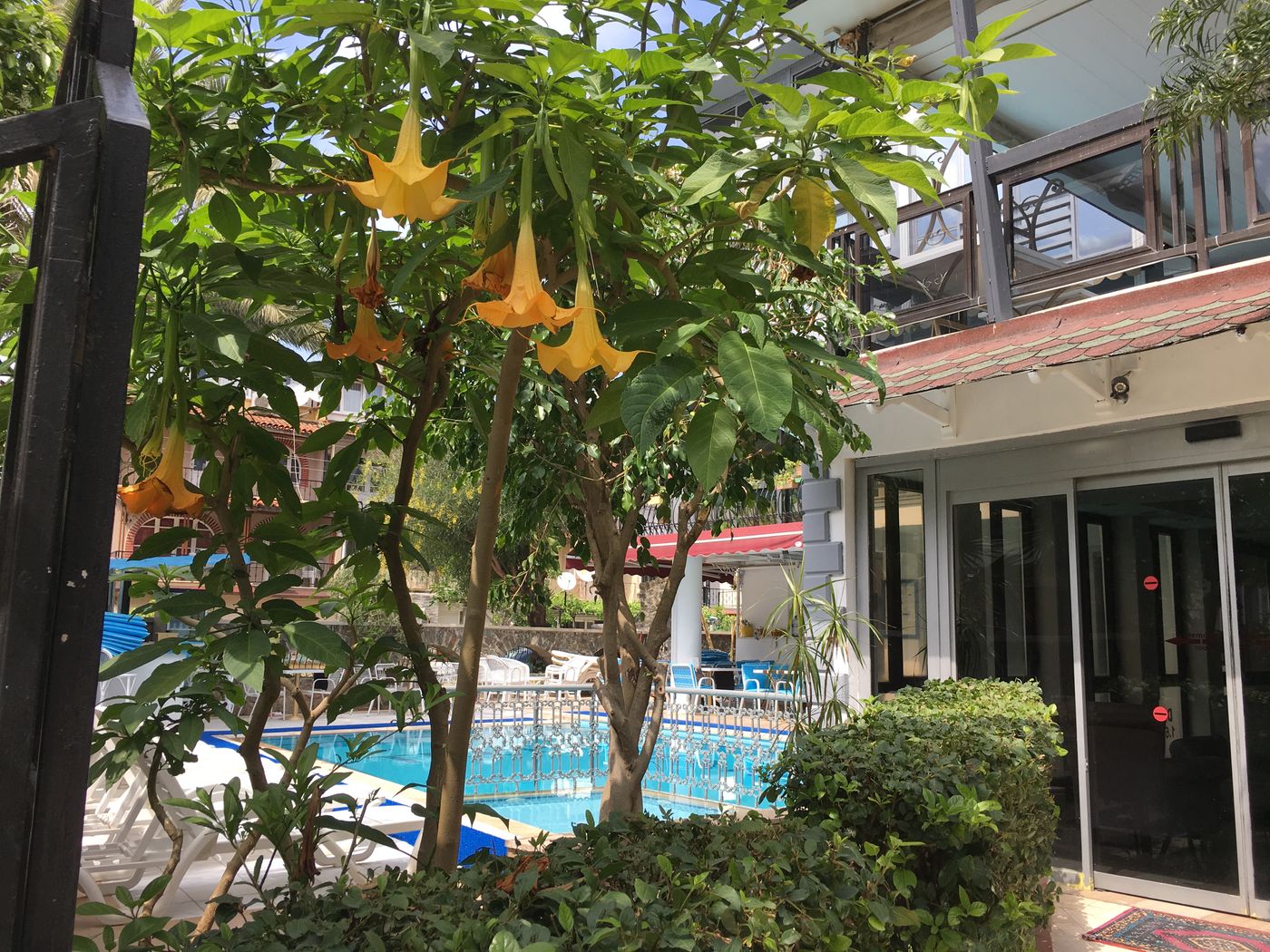 Tropic-Marina-General-view-12