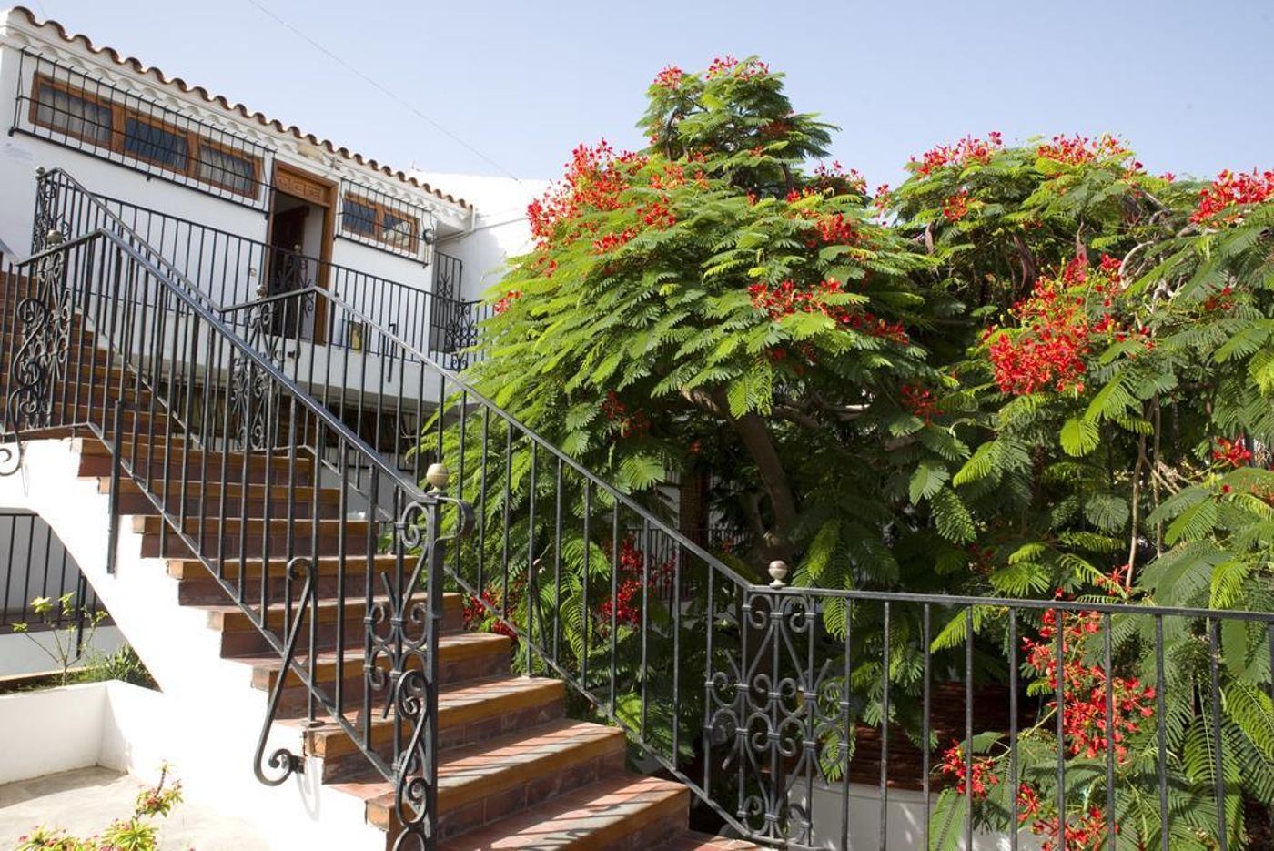 Las-Orquideas-General-view-17