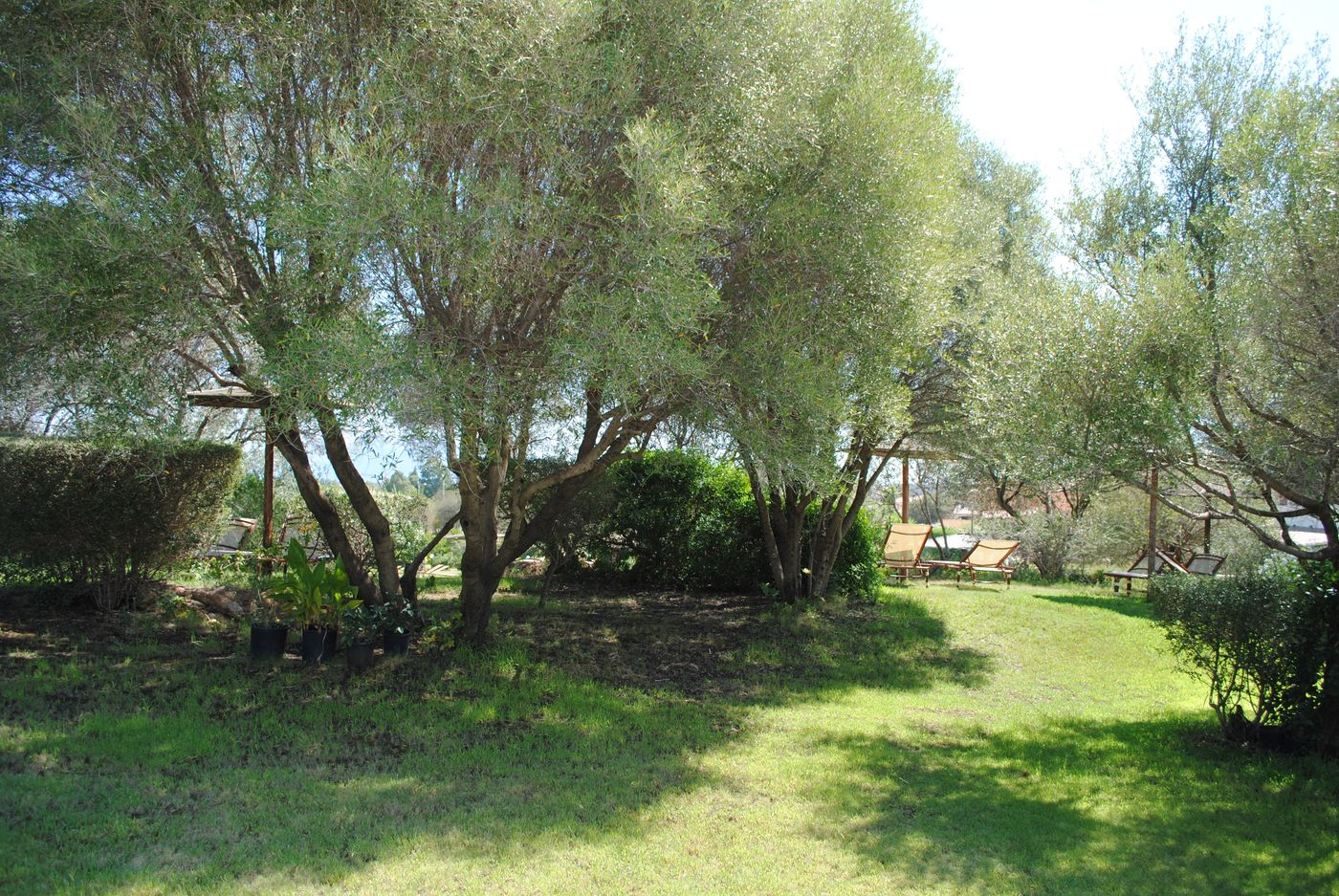 Sa-Pedra-General-view-35