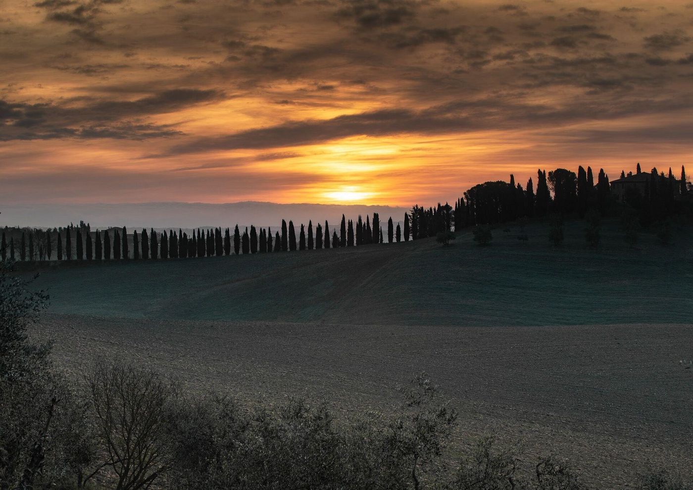 CA-Bianca-General-view-63