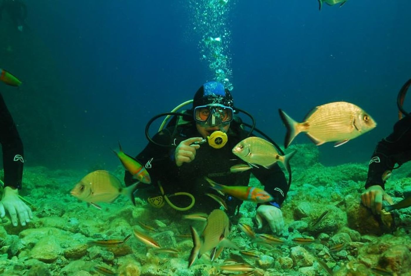 Kalypso-Cretan-Village-General-view-20