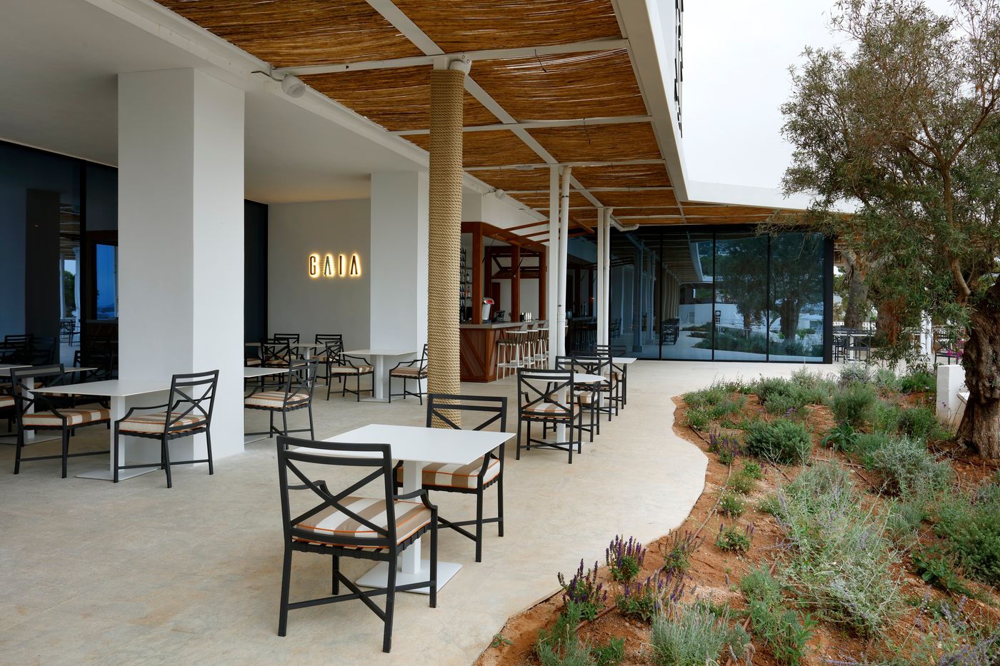 Fiesta-Hotel-Tanit-Bar-18