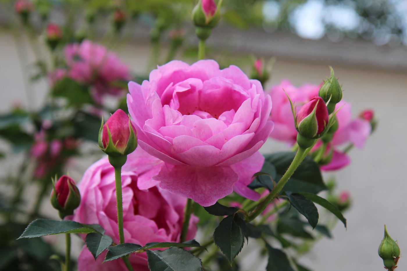 Hotel-Zora-Terrace-35