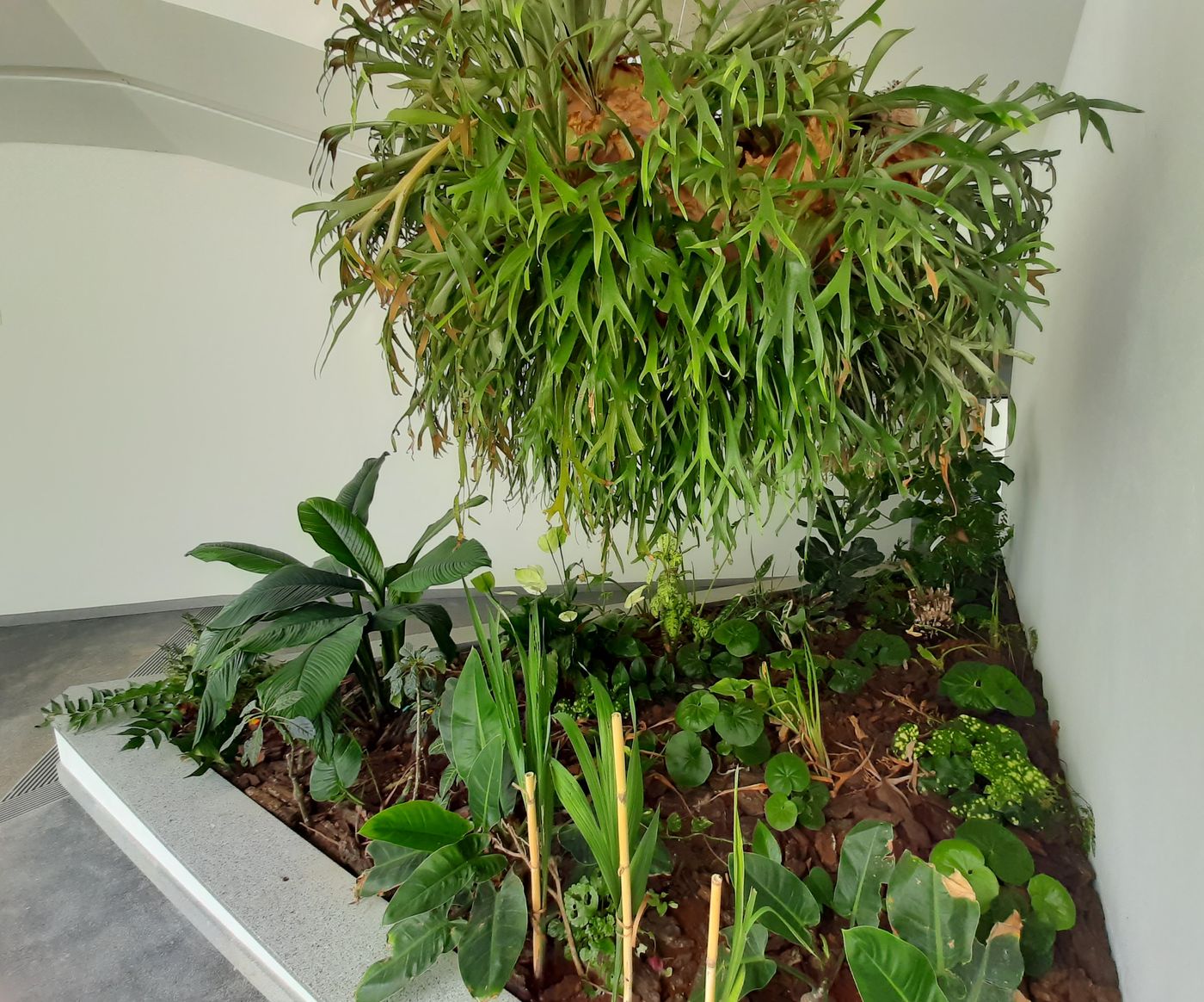 Rocamar-General-view-39